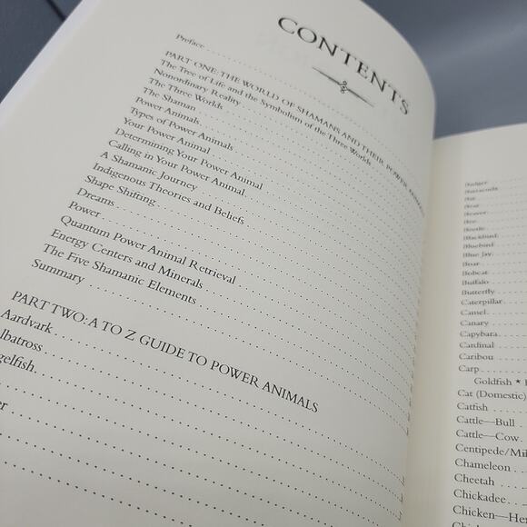 The Shaman's Guide to Power Animals by Lori Morrison Paperback - Picture 6 of 16